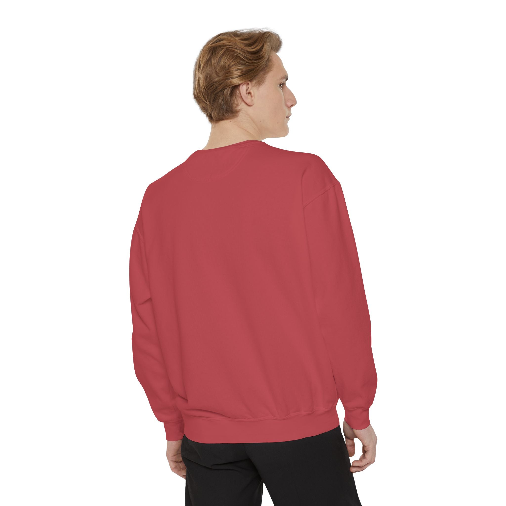 Dinosaur Christmas Sweatshirt - Tree Rex Problems