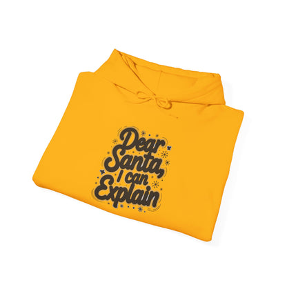 Christmas Hoodie Unisex - Dear Santa, I Can Explain