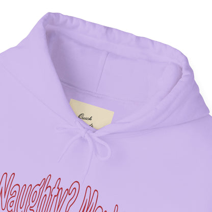 Christmas Hoodie - Naughty?  Maybe