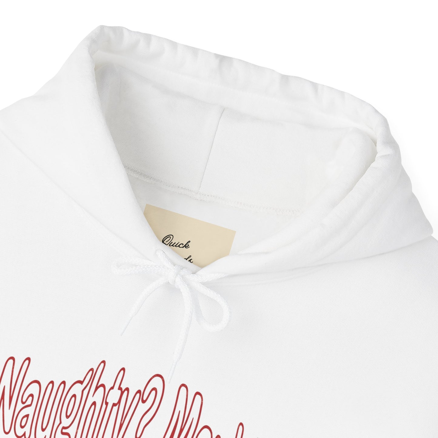 Christmas Hoodie - Naughty?  Maybe