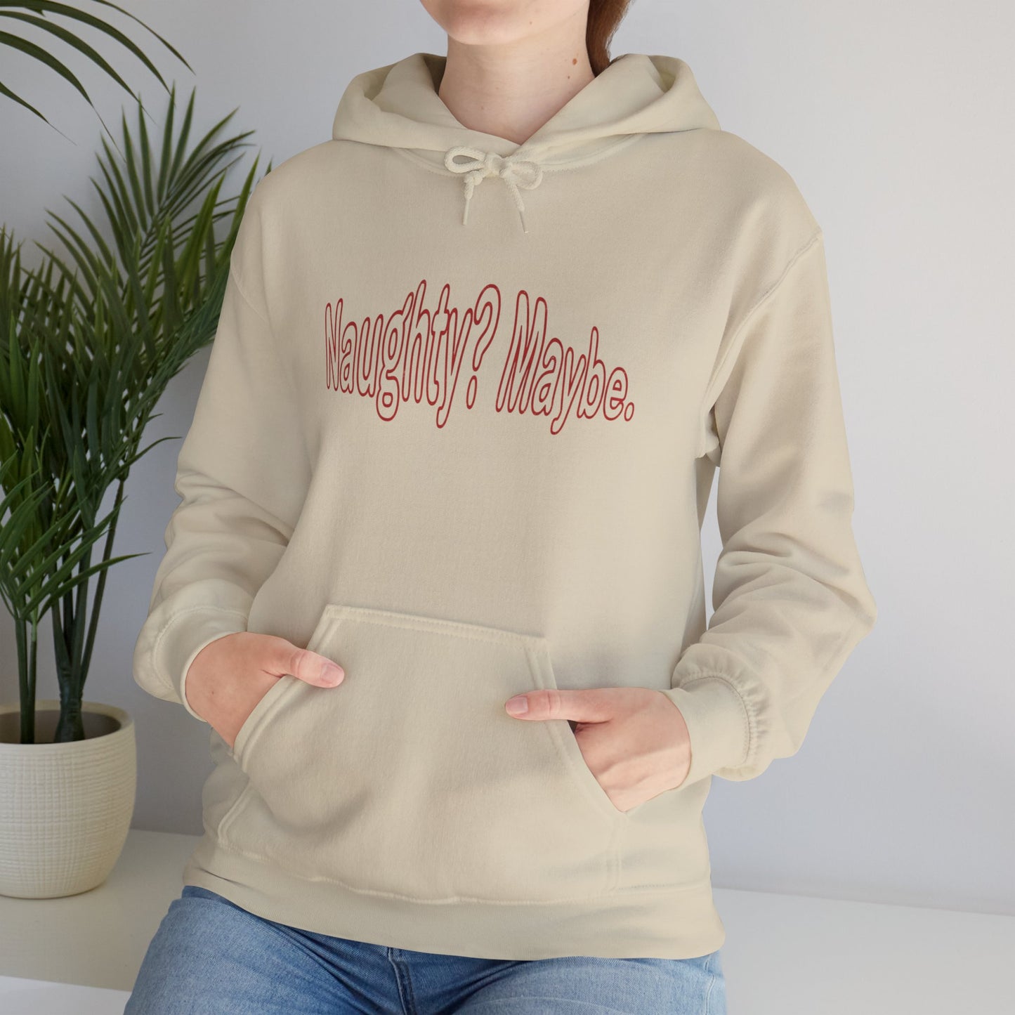 Christmas Hoodie - Naughty?  Maybe