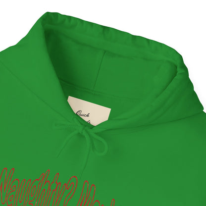 Christmas Hoodie - Naughty?  Maybe