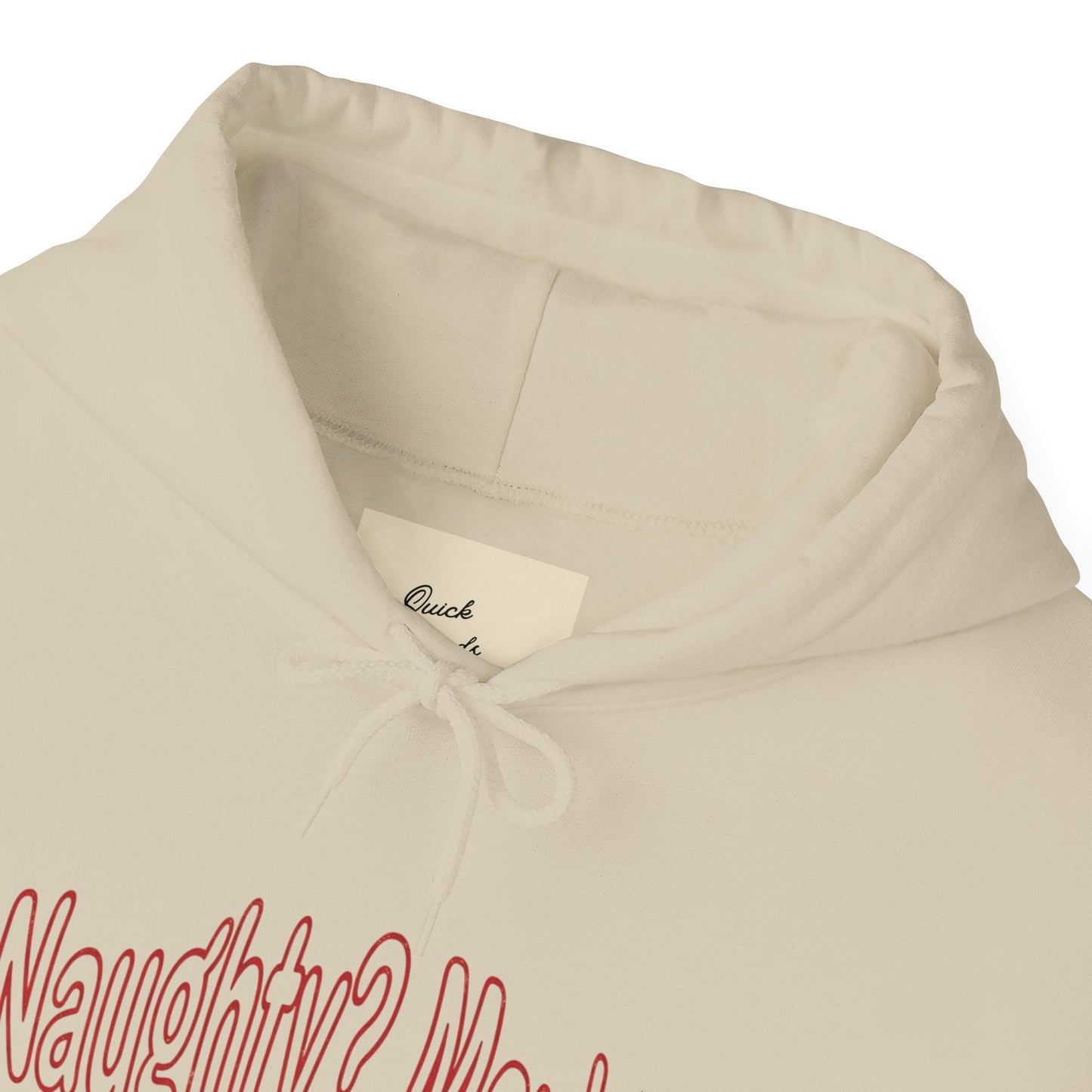 Christmas Hoodie - Naughty?  Maybe