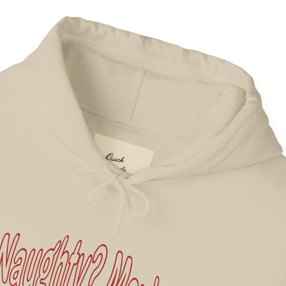 Christmas Hoodie - Naughty?  Maybe