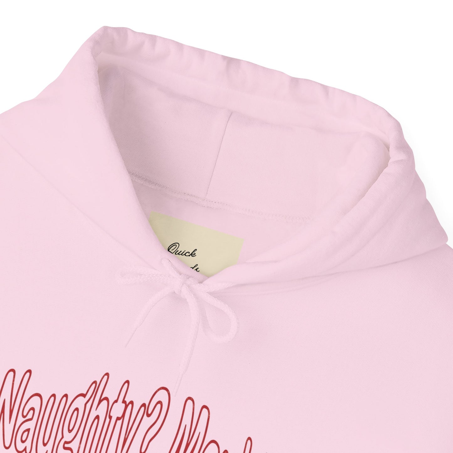 Christmas Hoodie - Naughty?  Maybe