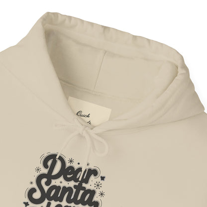 Christmas Hoodie Unisex - Dear Santa, I Can Explain