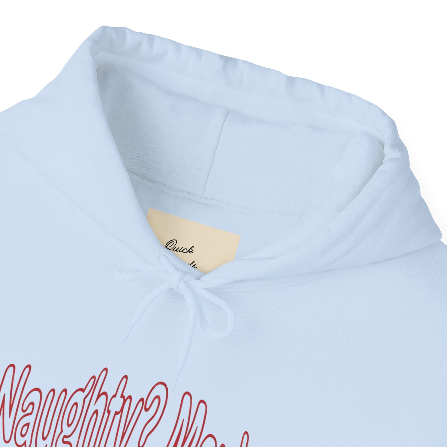 Christmas Hoodie - Naughty?  Maybe