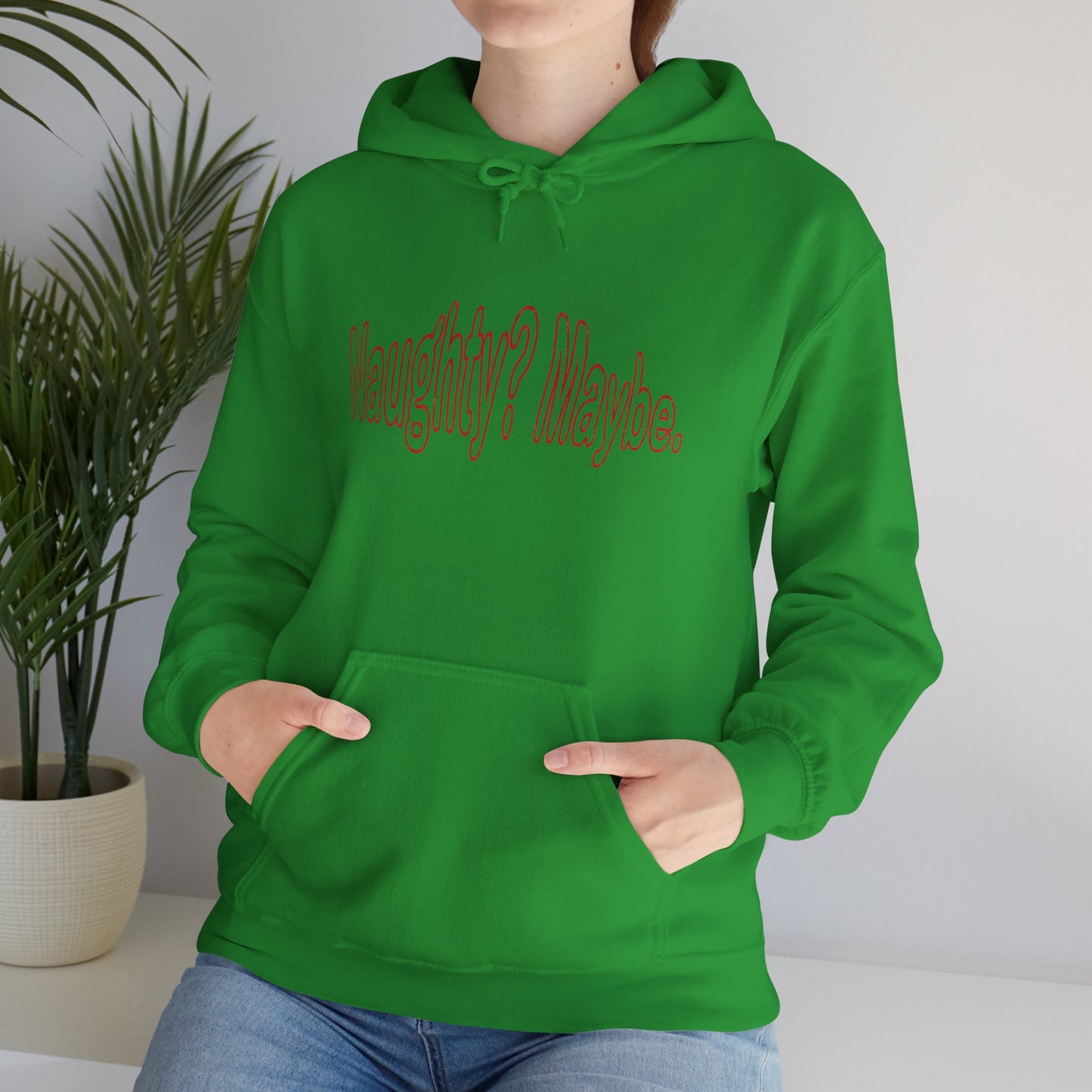Christmas Hoodie - Naughty?  Maybe