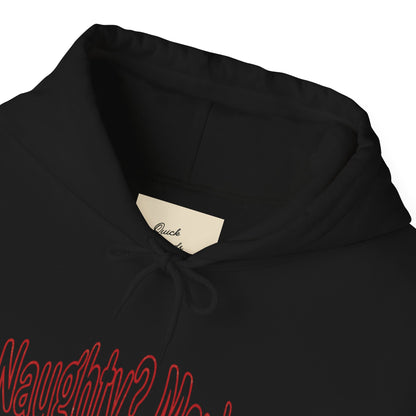 Christmas Hoodie - Naughty?  Maybe