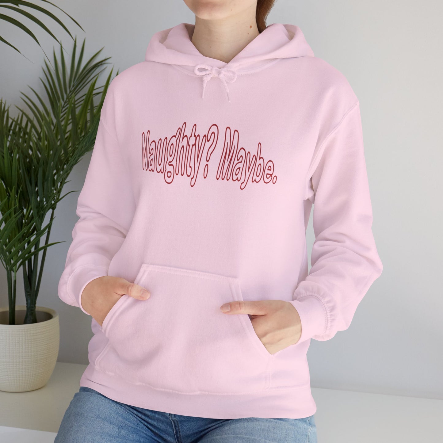 Christmas Hoodie - Naughty?  Maybe