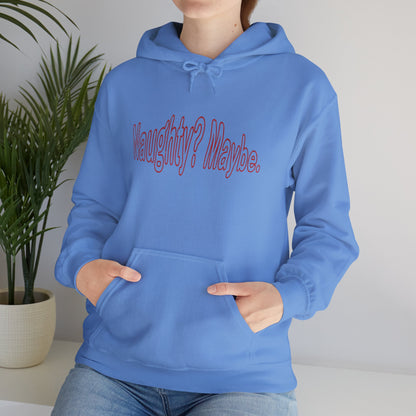 Christmas Hoodie - Naughty?  Maybe