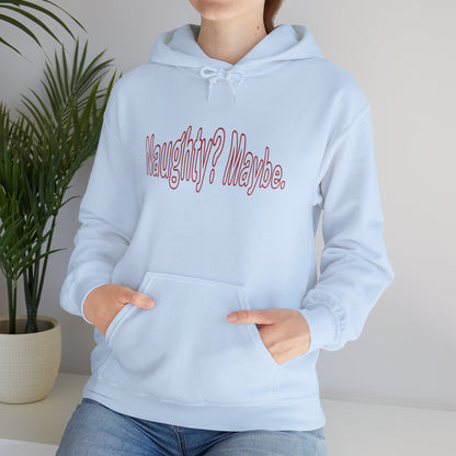 Christmas Hoodie - Naughty?  Maybe