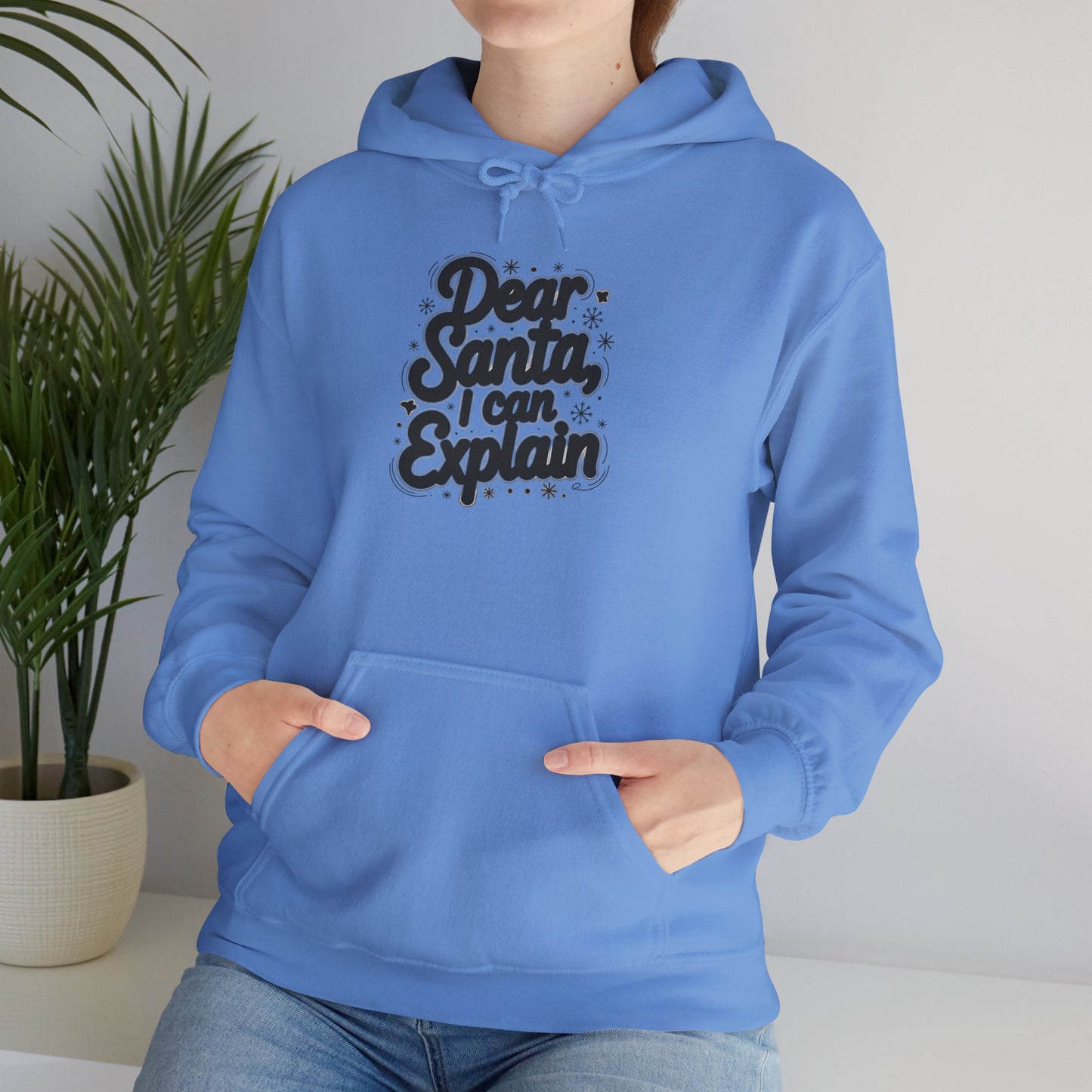 Christmas Hoodie Unisex - Dear Santa, I Can Explain