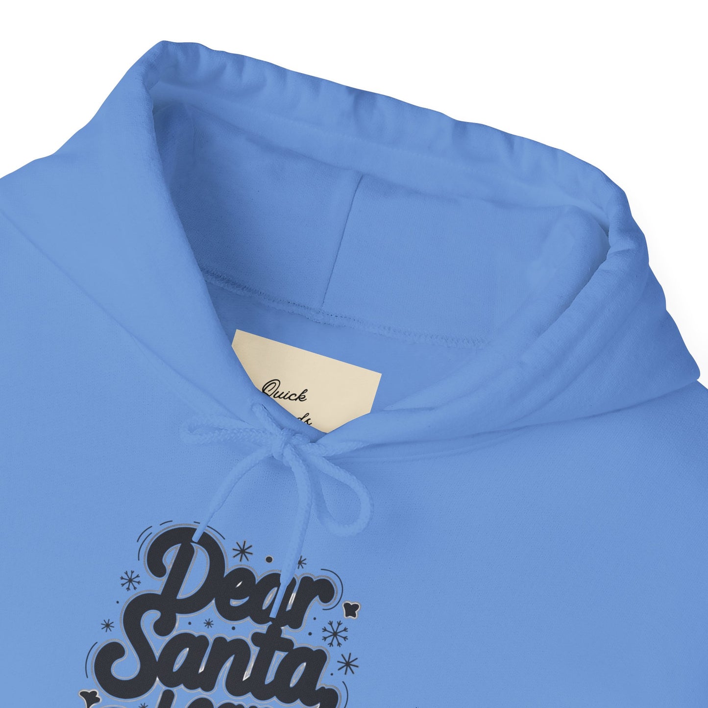 Christmas Hoodie Unisex - Dear Santa, I Can Explain